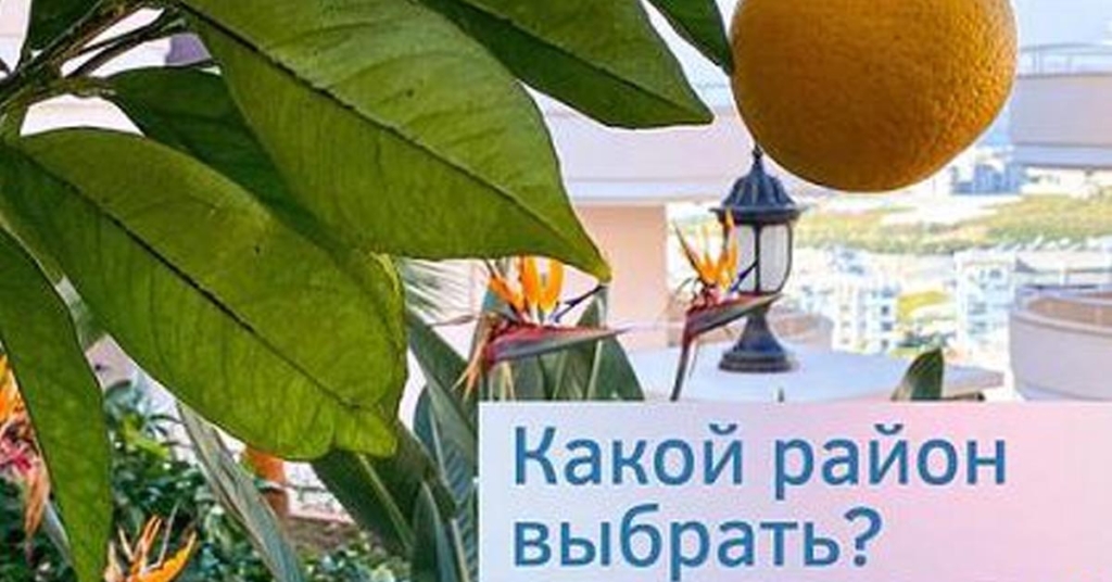 В КАКОМ РАЙОНЕ АЛАНЬИ ХОТИТЕ КВАРТИРУ?